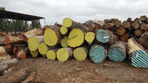Urban Lumber Logs
